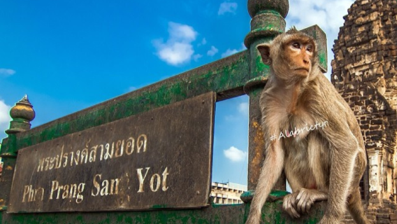 Lopburi Pagoda + Khao Long Cave one-day tour in Thailand | Depart from Bangkok