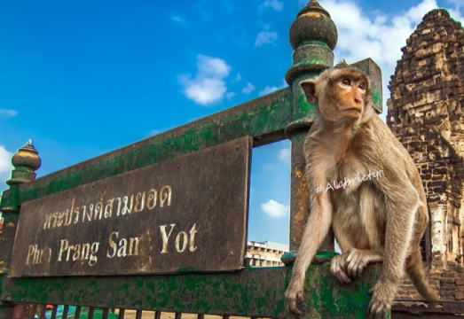 Unusedrooms Travel Tours and Information
