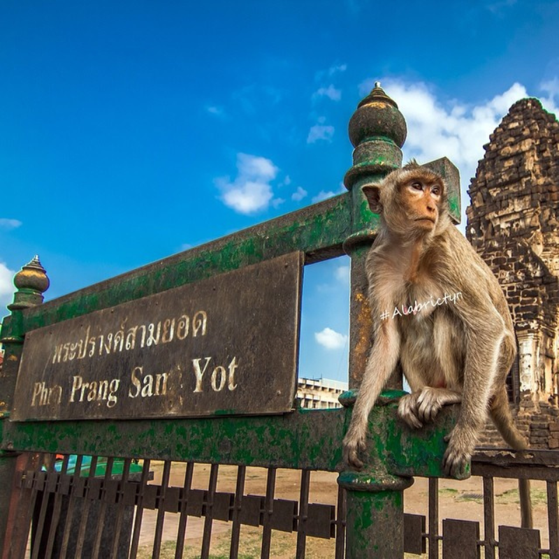 Perjalanan satu hari ke Gua Khao Luang + Prasat Sam Yot | Berangkat dari Bangkok