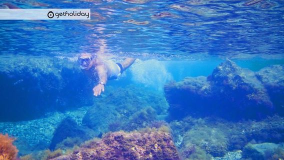 Santa Cruz de TenerifeTours