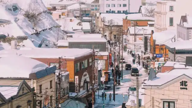日本小樽出發打卡網紅景點/可札幌登別富良野北海道多日包車精選