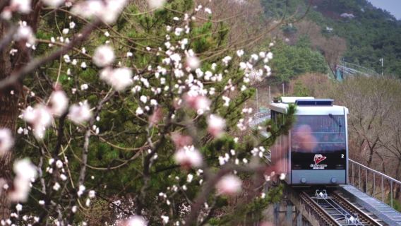 Tur Sehari Pribadi Lewati Antrean di Tembok Besar Badaling