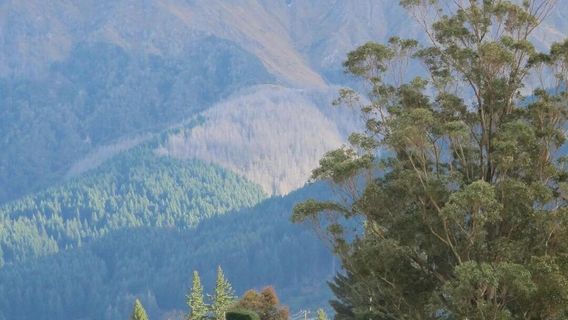 ArrowtownTours