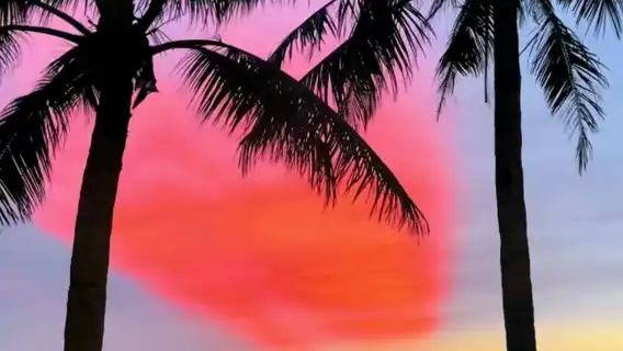 ทัวร์วันเดียว/ทัวร์หลายวัน ห้องสมุด Haikou Yundong + หาด Xixiu + สวน Century Bridge ( มีบริการภาษาอังกฤษ)