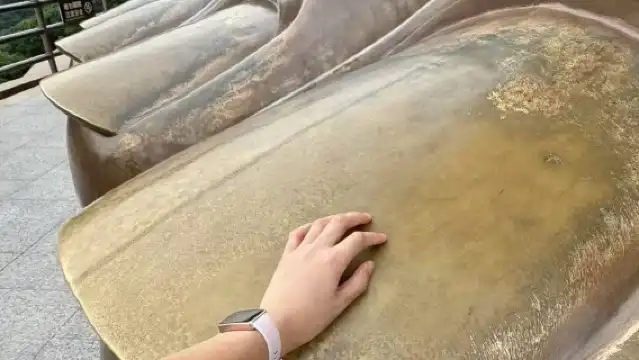 上海至無錫私人日遊靈山大佛+免費表演