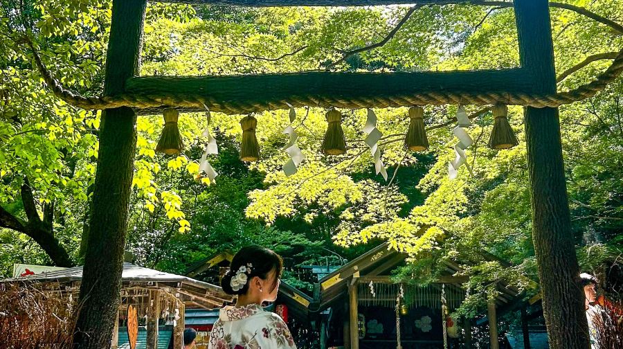 京都一日遊丨嵐山&金閣寺&清水寺&伏見稻荷大社（大阪出發）