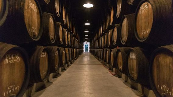 Vila Nova de GaiaExperiences