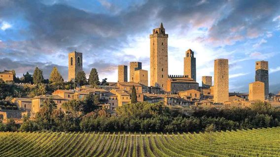 San Gimignano: Wine Tasting Tour