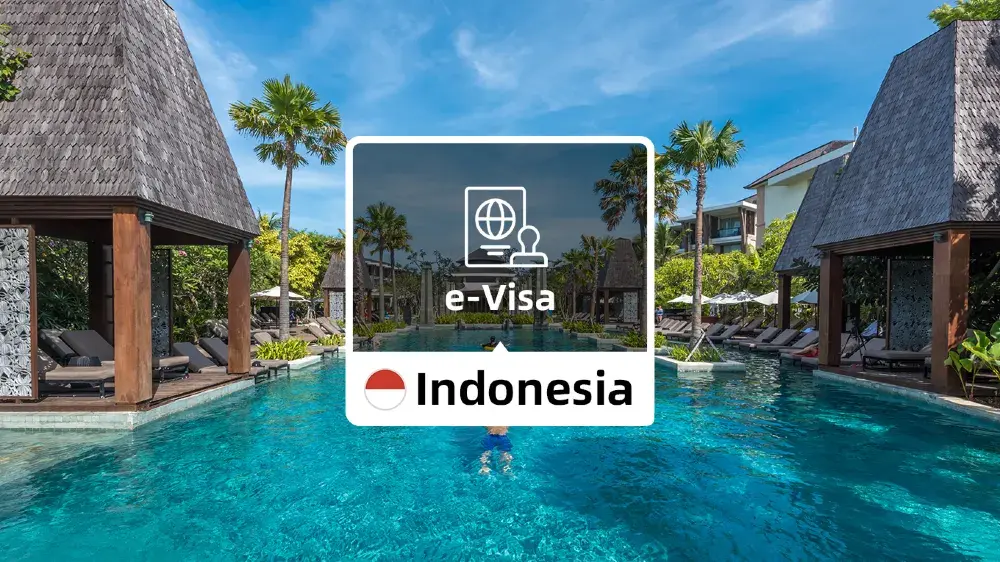 What is Indonesia e-Visa?