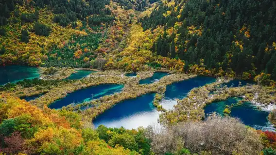 Jiuzhaigou + Huanglong 2-Day private group tour+ High-Speed Rail + admission ticket+ Full-Time Private Car Transfer + Intimate Service Guarantee