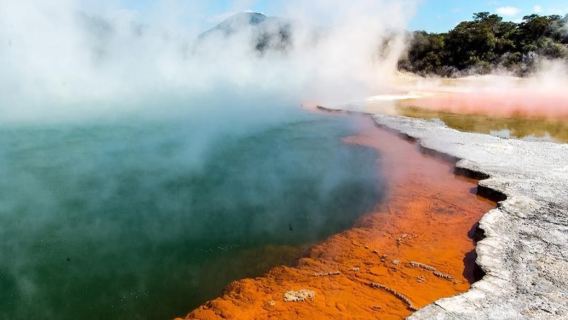 紐西蘭童話般的愛歌頓農場+七彩地熱奇觀一日遊【奧克蘭來回】