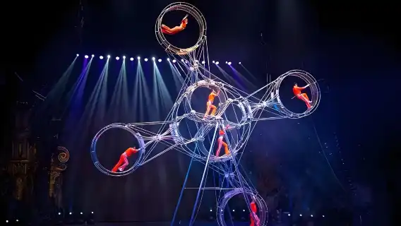 Guangzhou Chimelong International Circus and Chimelong Safari Park Day Tour (Private or Group Tour Available)