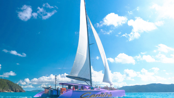 レイジー キャット オーストラリア旅行 ウィットサンデー諸島 ウィットサンデー ホワイトヘブン ビーチ日帰りツアーセーリングスピードボート食事付き