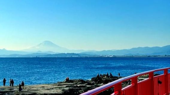 日本東京鐮倉+江之電+鎌倉大佛一日遊/行程可調-可訂製多日遊