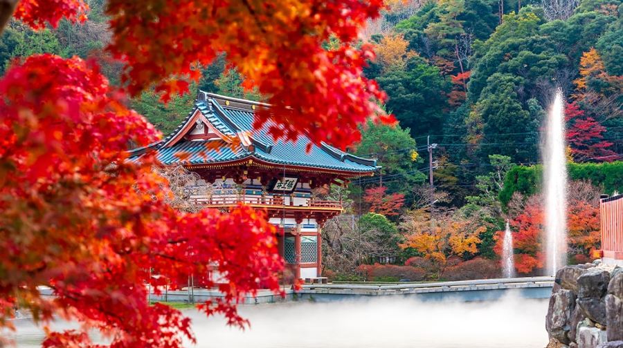【京都網紅美景打卡】勝尾寺+美山茅葺屋集落+嵐山一日遊