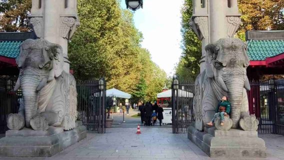 德國柏林+夏洛滕堡宮+蒂爾加藤+勃蘭登+動物園-普通話地陪