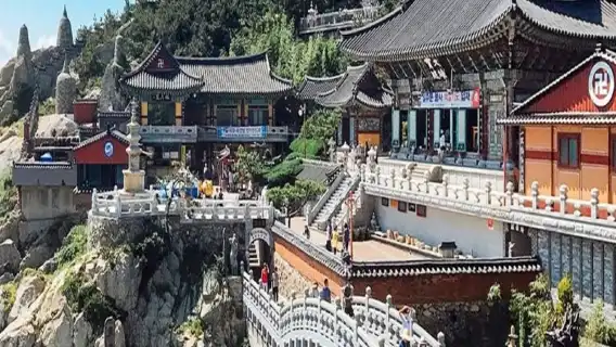 韓國東釜山探索之旅半日遊 中文英文導遊2431