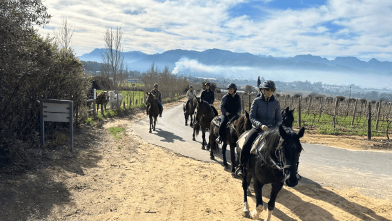Vrede en Lust Wine Estate: 2H Horse Trail