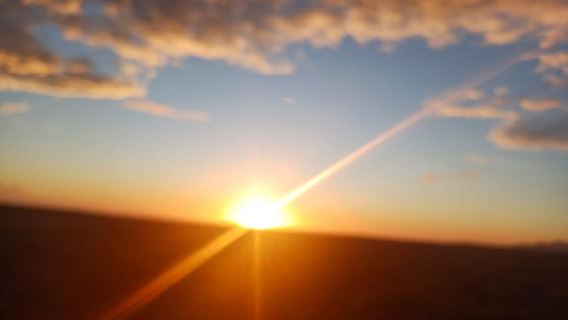 Кейптаун: тур «Пингвины и мыс Доброй Надежды» на закате