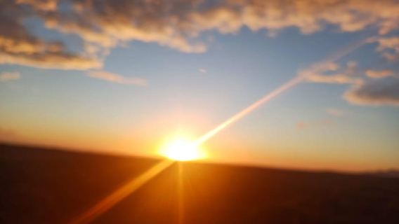 Cape Town: Penguins and Cape of Good Hope Sunset Tour