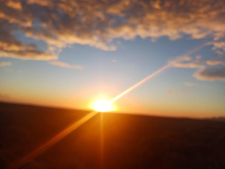 Cape Town: Penguins and Cape of Good Hope Sunset Tour