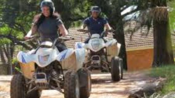 Hazyview: Guided Macadamia Plantation and Forest Quad Safari