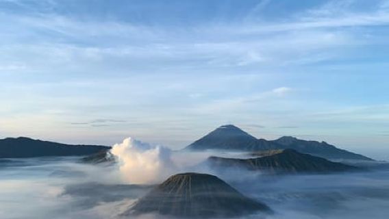 From Malang: 1 Day Bromo Sunrise Sharing Tour