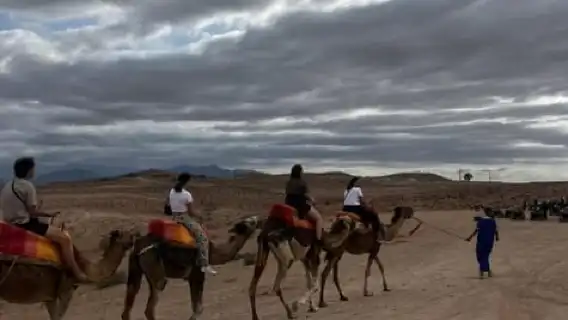 มาร์ราเกช: รถเอทีวี, ขี่อูฐ, ชมพระอาทิตย์ตก, รับประทานอาหารค่ำพร้อมชมการแสดง