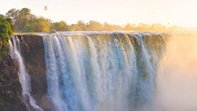 Visite guidée des chutes
