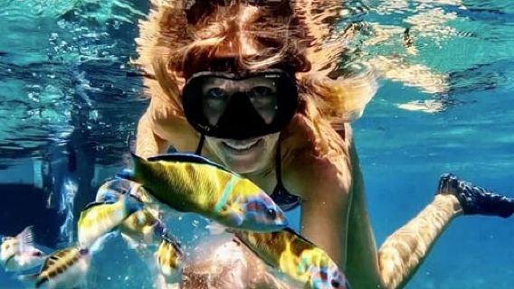 Tropea: Boat Tour on the Coast of the Gods - maximum 12 people on board