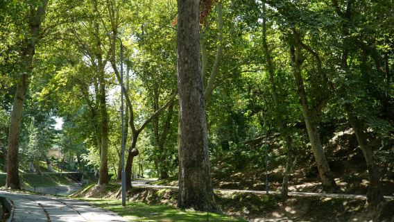 Tashkent: City Tour with Pro Photography, Lunch & Dinner