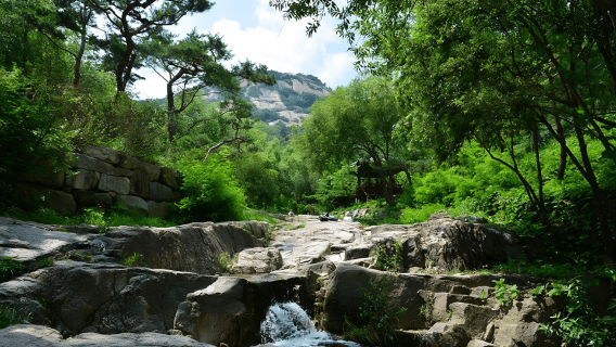 Seoul: Wanderung zur versteckten Festung: Geheimer Pfad zum Seochon-Geschmack