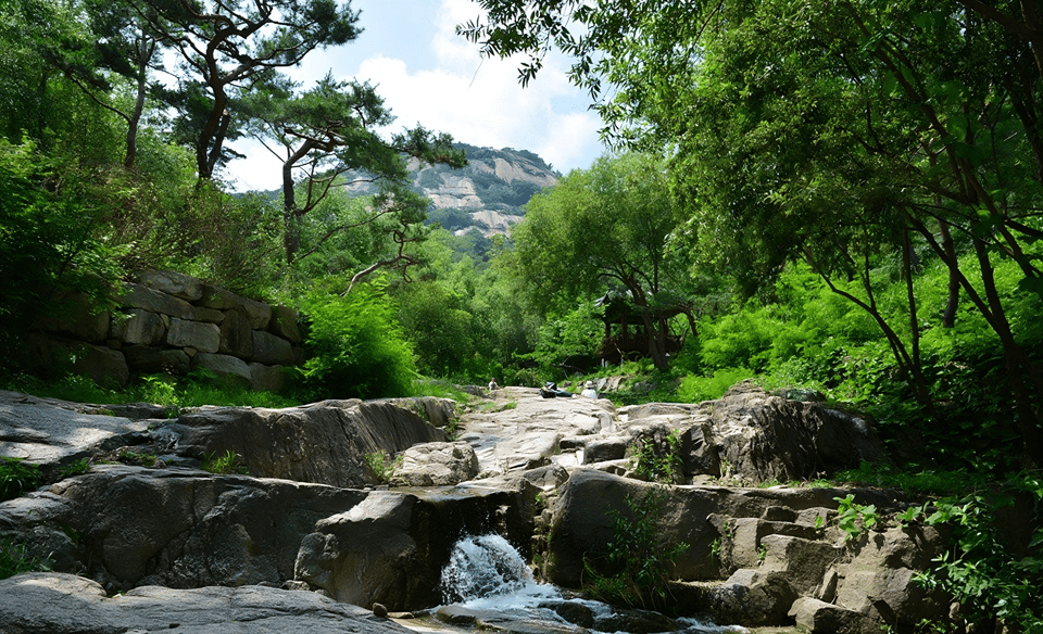 Seoul : Hidden Fortress Trek: Secret Trail to Seochon Flavor