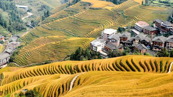 壮大な棚田・龍脊1日間