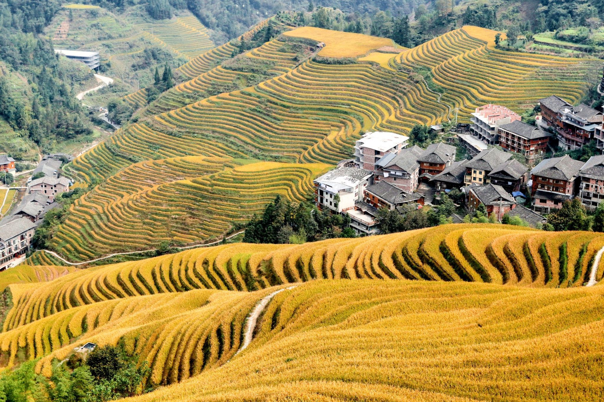 壮大な棚田・龍脊1日間