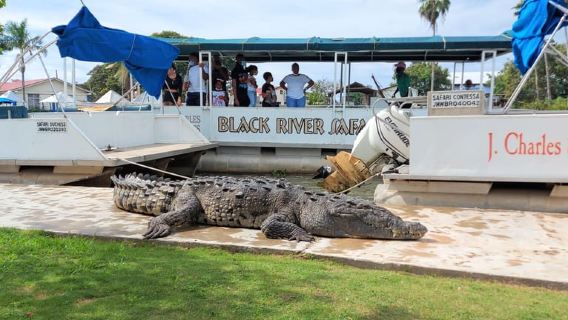 Montego Bay: Halbtägige Black River Safari