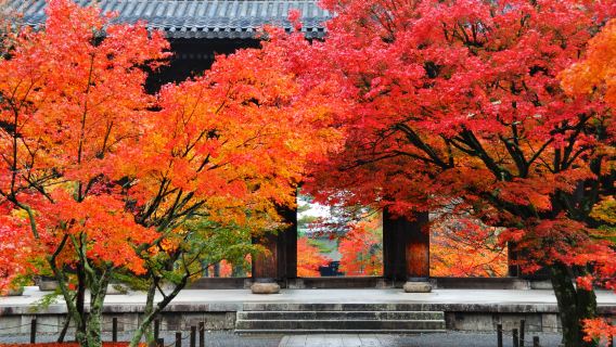 perjalanan satu hari: Kuil Nanzenji, Pasar Nishiki, Taman Gion, dan Pertunjukan Cahaya Malam Istana Nijo