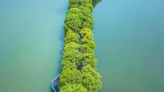 武漢精華印象【東湖+省博+武漢大學+黃鶴樓+長江大橋】