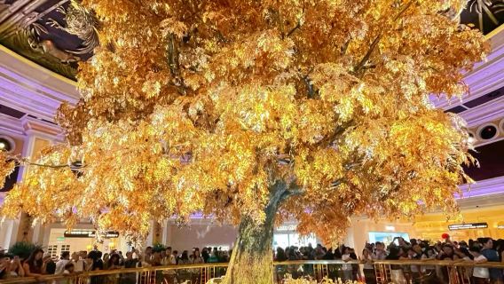 澳門大三巴+威尼斯人一日遊【司機兼嚮導包車遊‖打卡全澳經典路線】