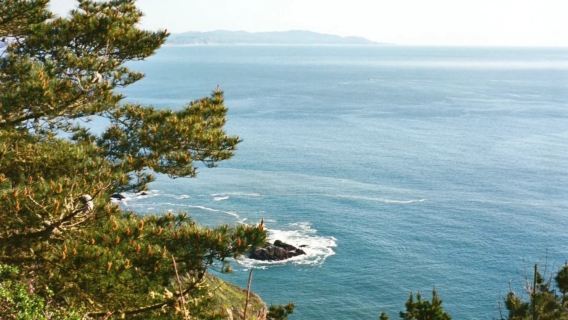 From Los Angeles to San Francisco - Highway 1 - Private Charter - Top Pick