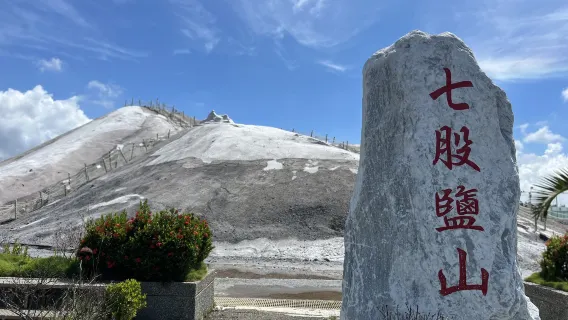 Tagesausflug mit Privattransfer nach Tainan: Qigu Salzberg + Jingzijiao Salzwiesen + Sihcao Grüner Tunnel [ohne Ticket]