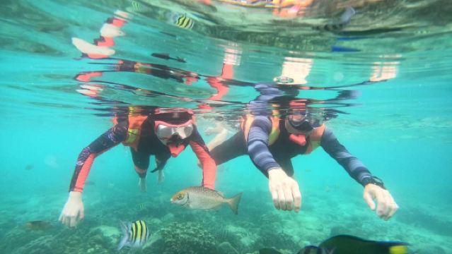 Langkawi Easy Breezy Snorkelling: Dive into the Blue