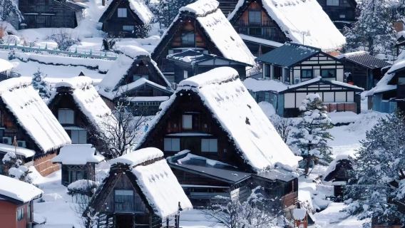 名古屋白川鄉合掌村【直達觀景台】+飛驒高山一日遊【中文導遊】