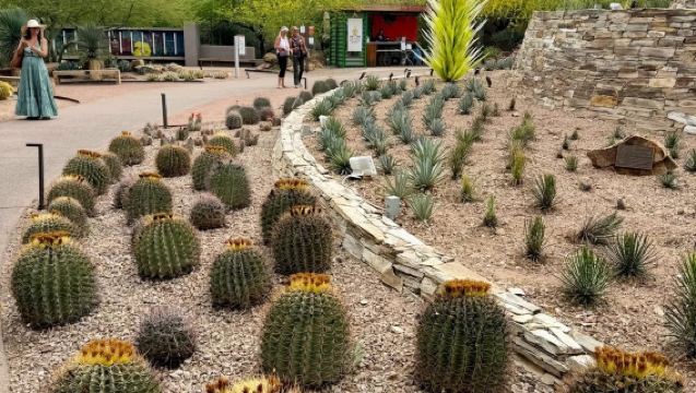 美國鳳凰城來回傑羅姆小鎮鬼城與蒙特蘇馬城堡線-包車-精選