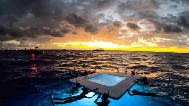 Excursión de snorkel con mantarrayas en Kona (viaje organizado)