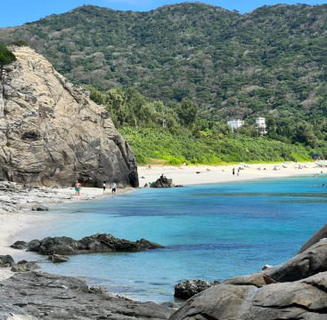 【5小時體驗】沖繩渡嘉敷島一日遊·含船票·可選與海龜同遊浮潛