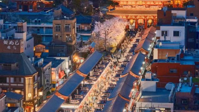 1-day private charter tour in Japan with Sensō-ji, Ueno Park and Shibuya crossing