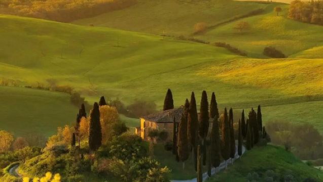 Pergi-balik Florence: Siena + Pienza + Cypress Lembah Orcia dengan pemandu berbahasa Cina [Tiket masuk dikendalikan sendiri]