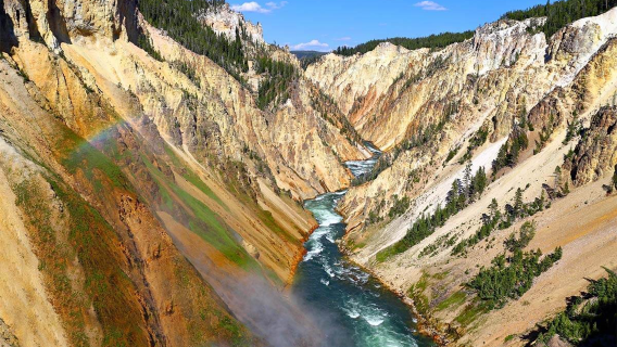 Passeio de um dia com carro privativo: Parque Nacional de Yellowstone + Grand Canyon de Yellowstone nos EUA
