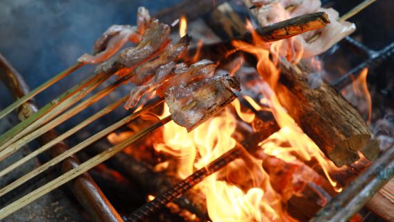Tengchong pembuatan kertas cara tradisional + dapur liar + rendaman kaki herba + daging panggang + kopi